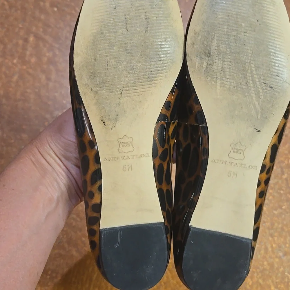 Ann Taylor Brown and Black Patterned Flats